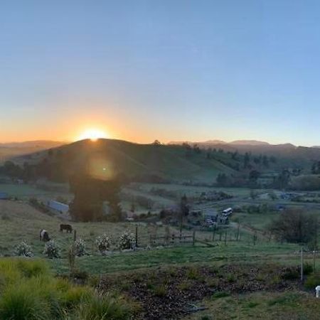Wake Field Views Bed & Breakfast Nelson Dış mekan fotoğraf